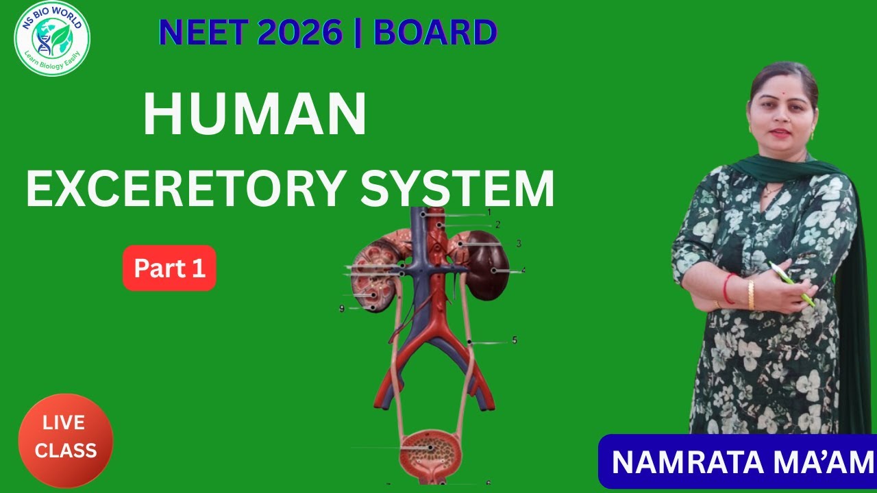 Excretory System Part 1 | किडनी से पहले यह समझो | by Namrata ma`am #nsbioworld