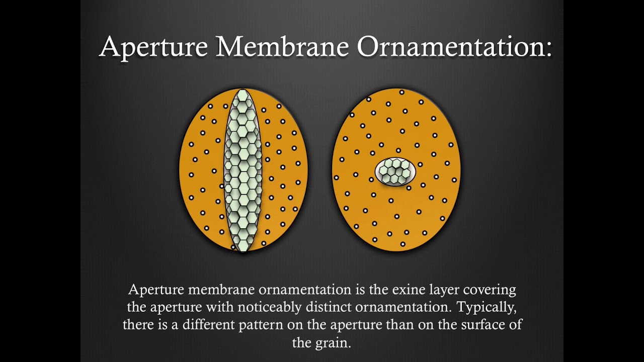 Pollen Morphology Training - Part 5: Additional Information