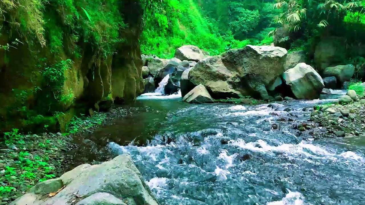 Restore your Soul by the River, Soft Sound and Forest River Sounds | sleep - relax - Stress Relief