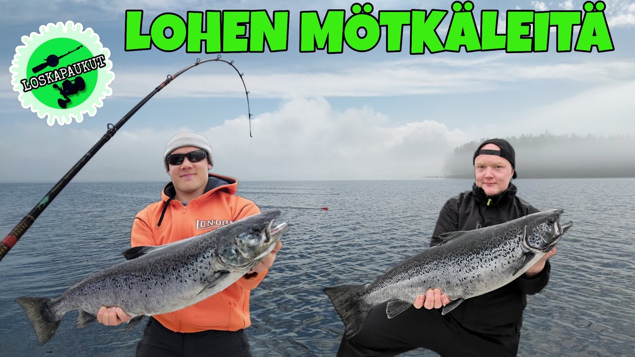 Loskapaukut - Lohen Mötkäleitä