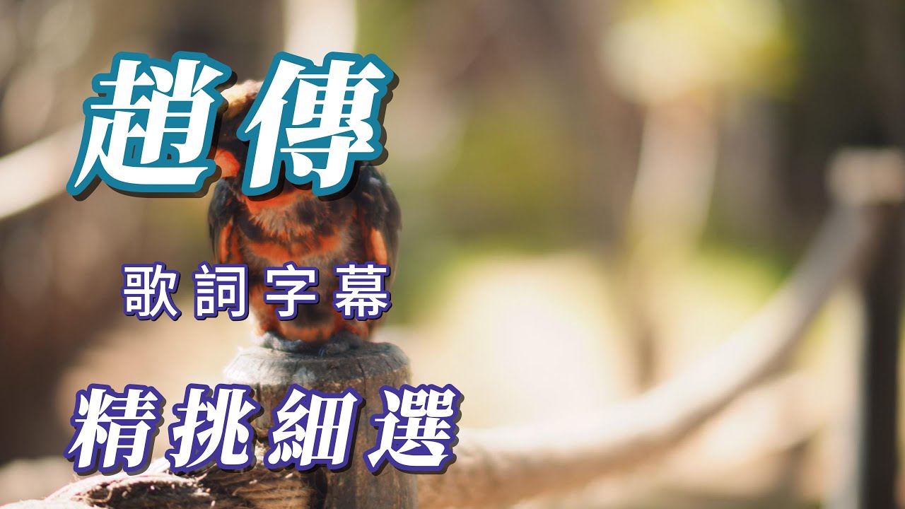 （趙傳）精挑細選（謝謝朋友喜歡）🏄🏽🏊🏽‍♂️🚣🏽