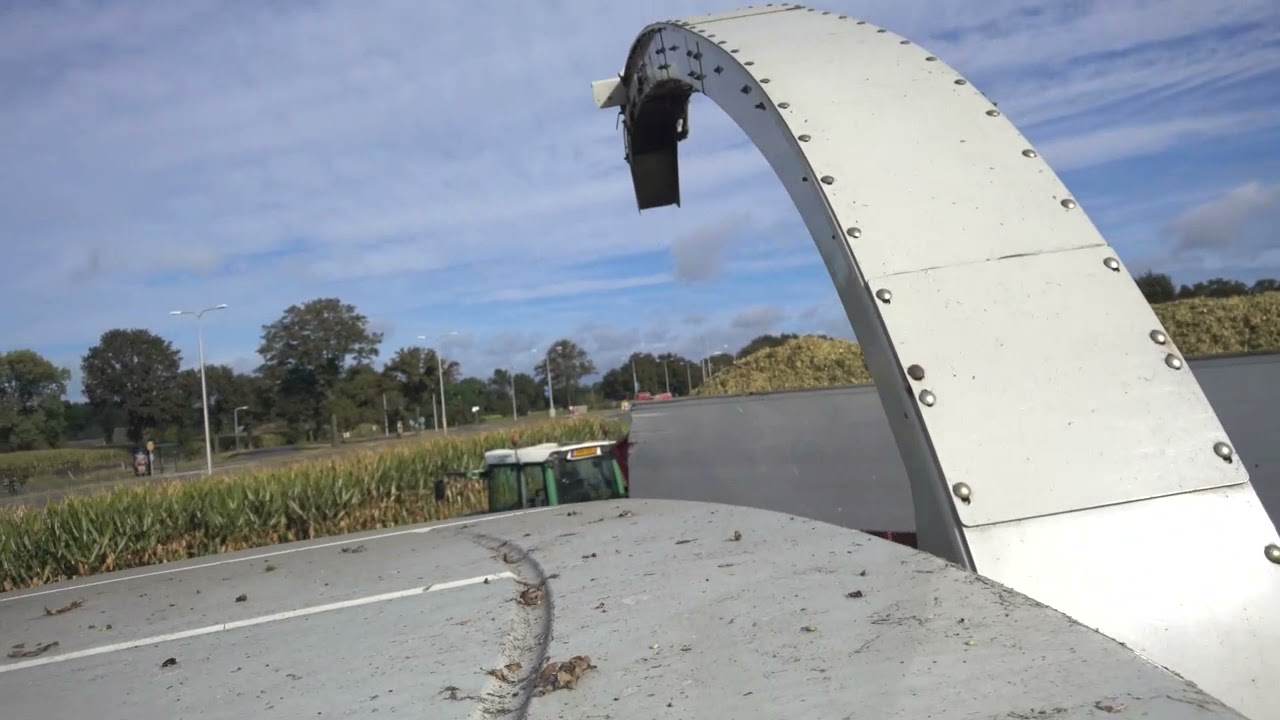 Maisoogst 2021 - Cornharvest 2021