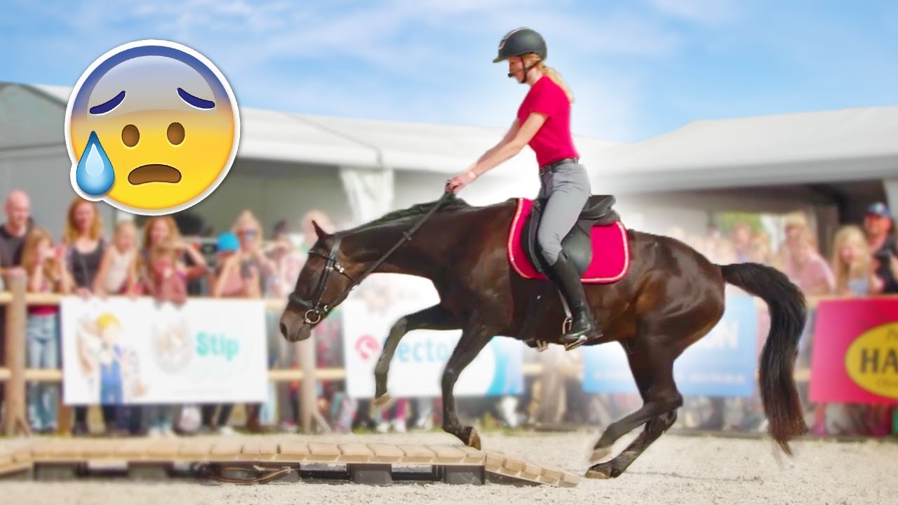 MIJN PAARD STRUIKELT TIJDENS ONZE EERSTE HORSE EVENT SHOW OOIT! 😬 - Vlog #99 | Daphne draaft door