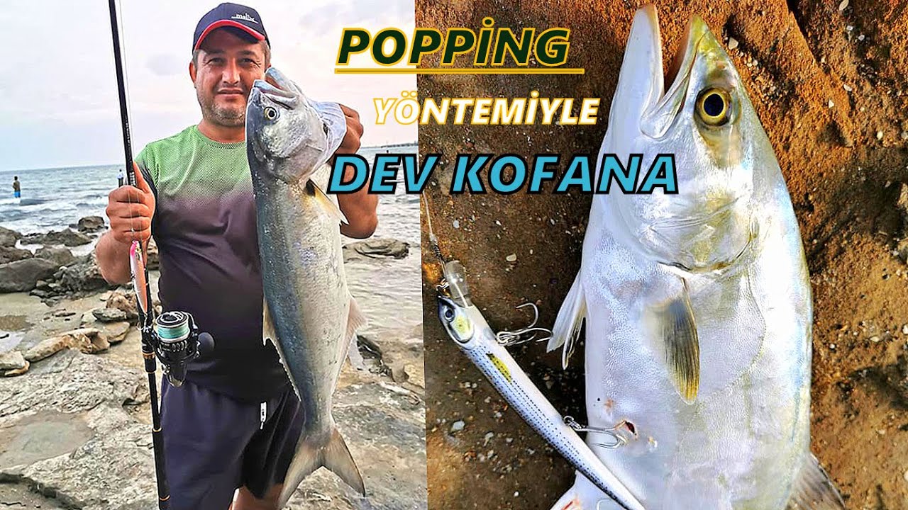 Adana'da Harika Balıklar Yakaladık !! Lüfer (Kofana) , Çatalkuyruk(Lichia) ve Grida -  Bölüm 109