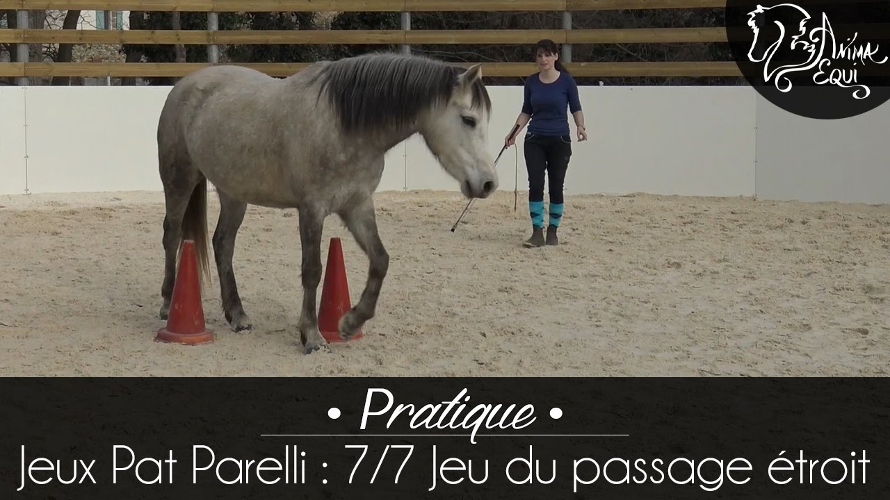 • PRATIQUE • Jeux Pat Parelli : 7/7 Jeu du passage étroit