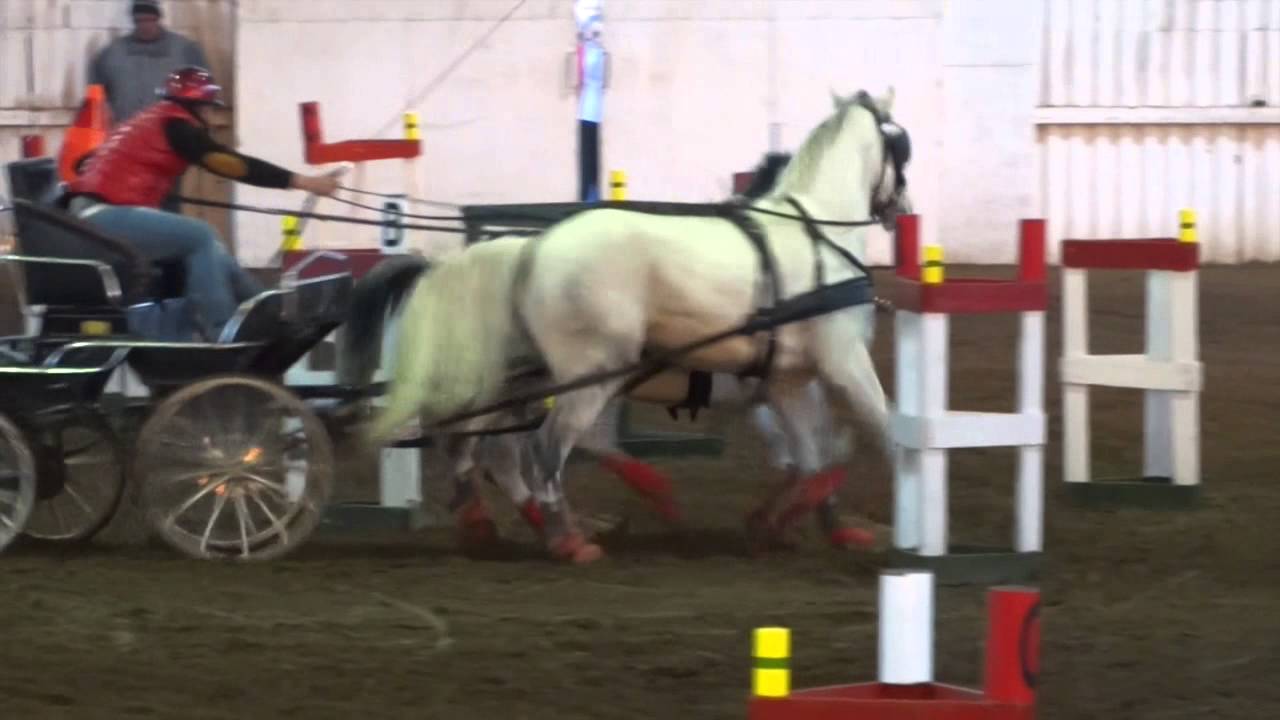 Ifj. Fekete György 2015 OB Bajnok Hortobágy