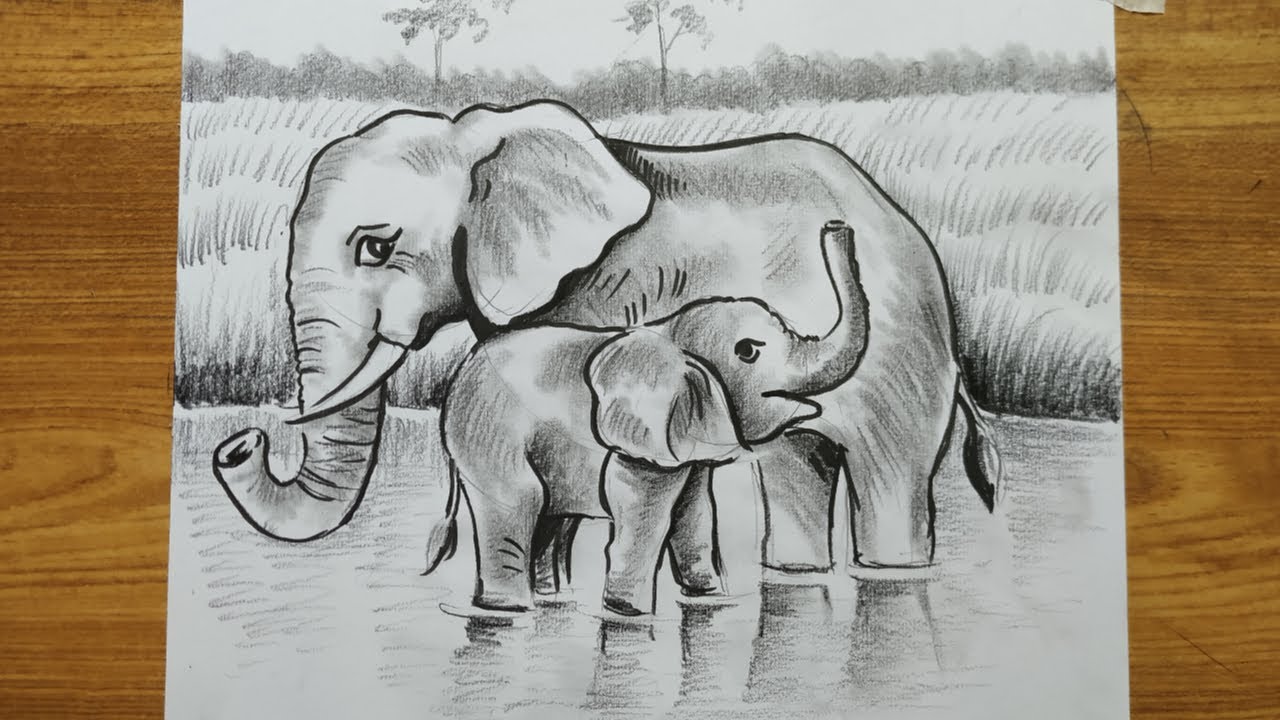 how to draw elephant step by ste,easy pencil sketch scenery drawing,riverside scenery drawin,