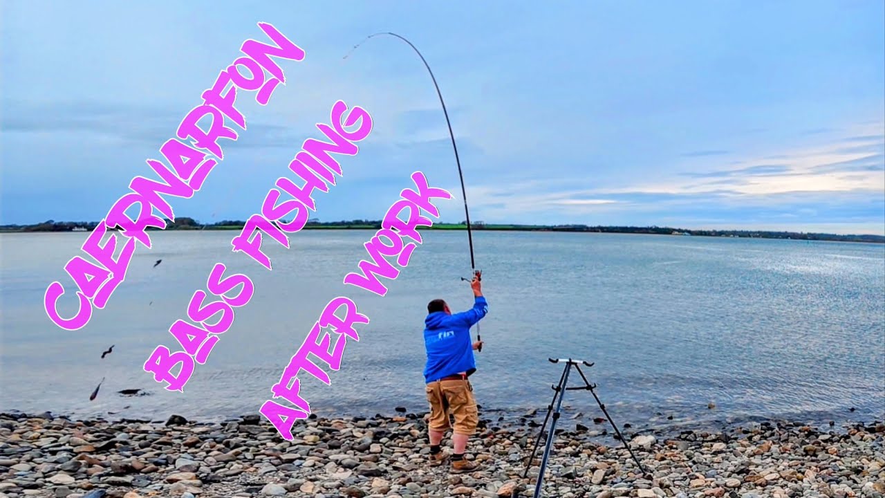 Caernarfon bass fishing after work, uk sea fishing, north wales sea fishing