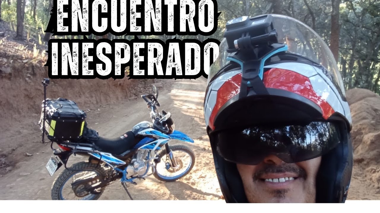 fui al CERRO VIEJO, Y TUVE UN ENCUENTRO INESPERADO,
