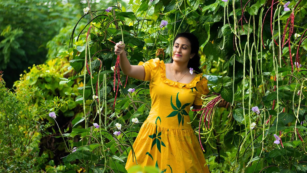 Homeland Long beans harvest|I prepared More delicious beyond from the traditional recipes|Poorna