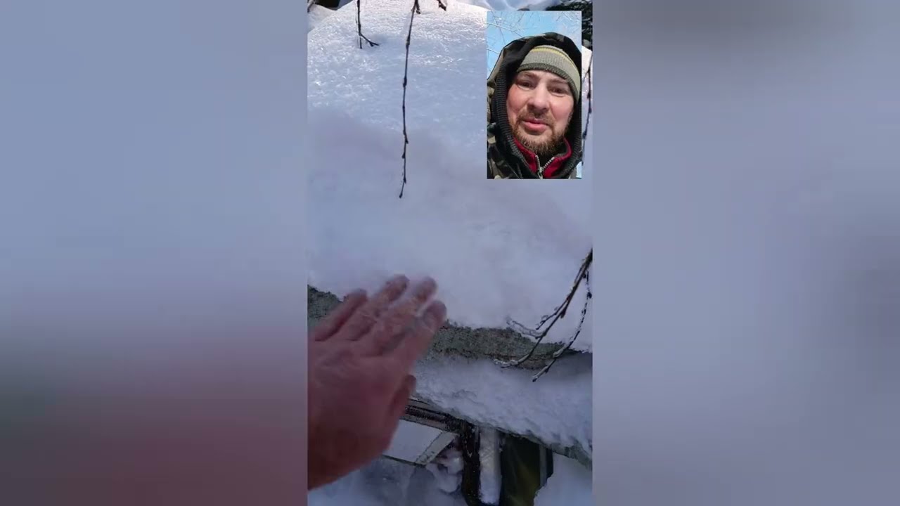 Делаю ревизию после циклонов и заморозка, пробую давать канди. #пчеловодство #пчелы