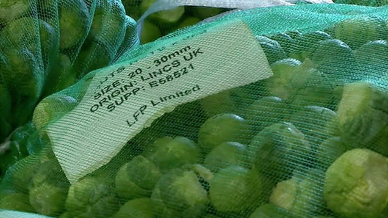 Lincolnshire farmer talks sprouts and price rises