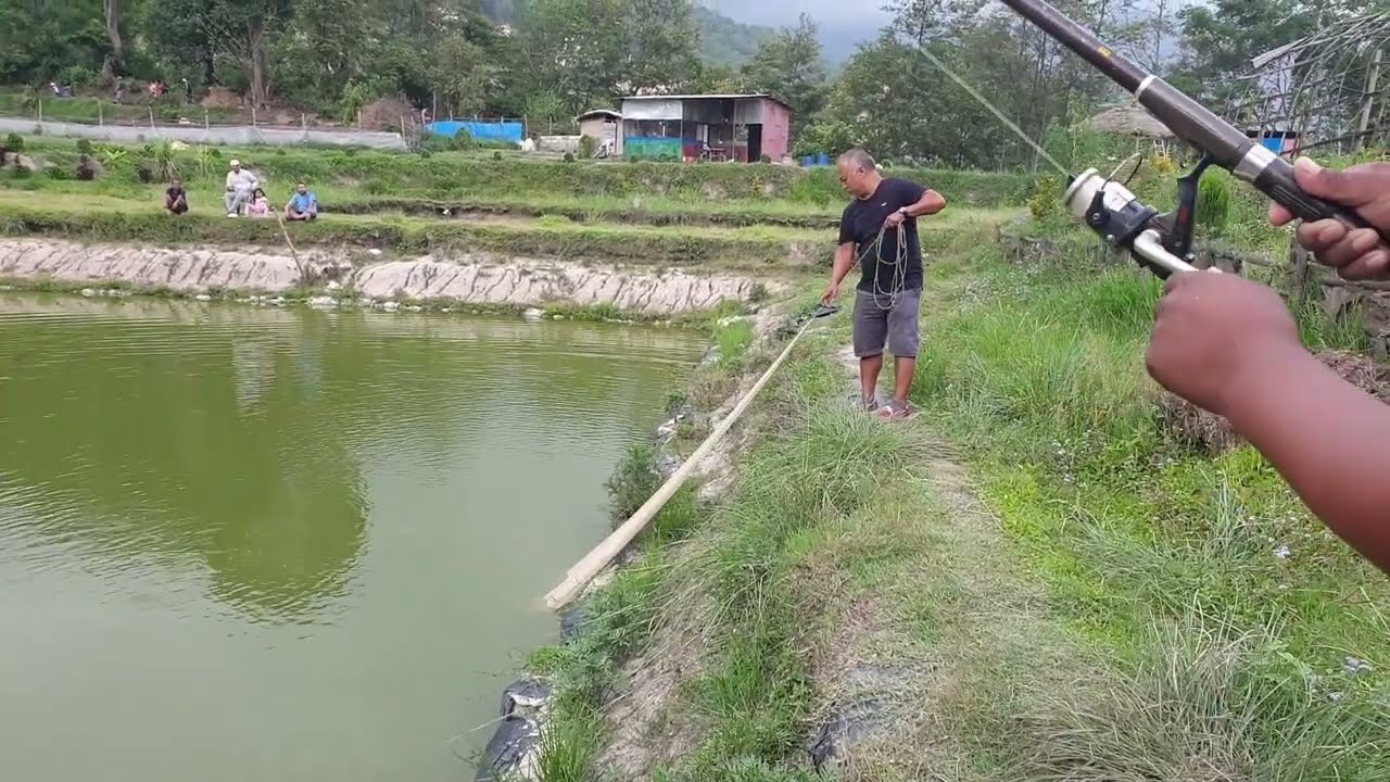 Fishing Trip in Kathmandu l Family Fishing Farm Tokha Kathmandu