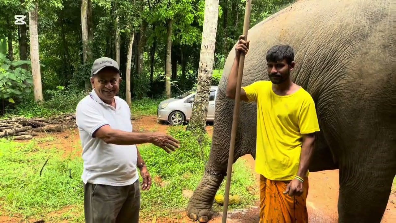 හැමෝම කතාවෙන රටම හැඩ කරන වාසනා බේකරියෙ වාසනාවන්ත කෙල්ල දෙවුමිණීගෙ සම්පූර්ණ වීඩියෝ එක 🥰😍