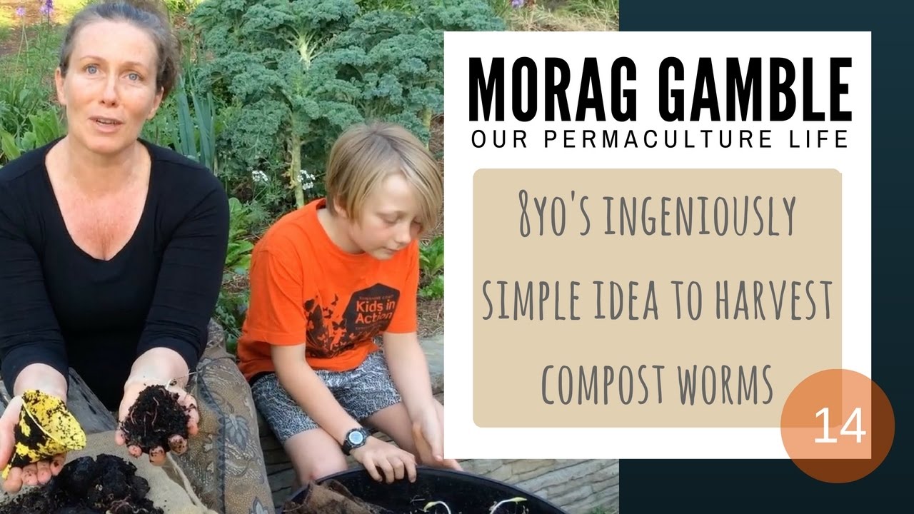 8 yo's Ingeniously Simple Idea to Harvest Compost Worms with Morag Gamble