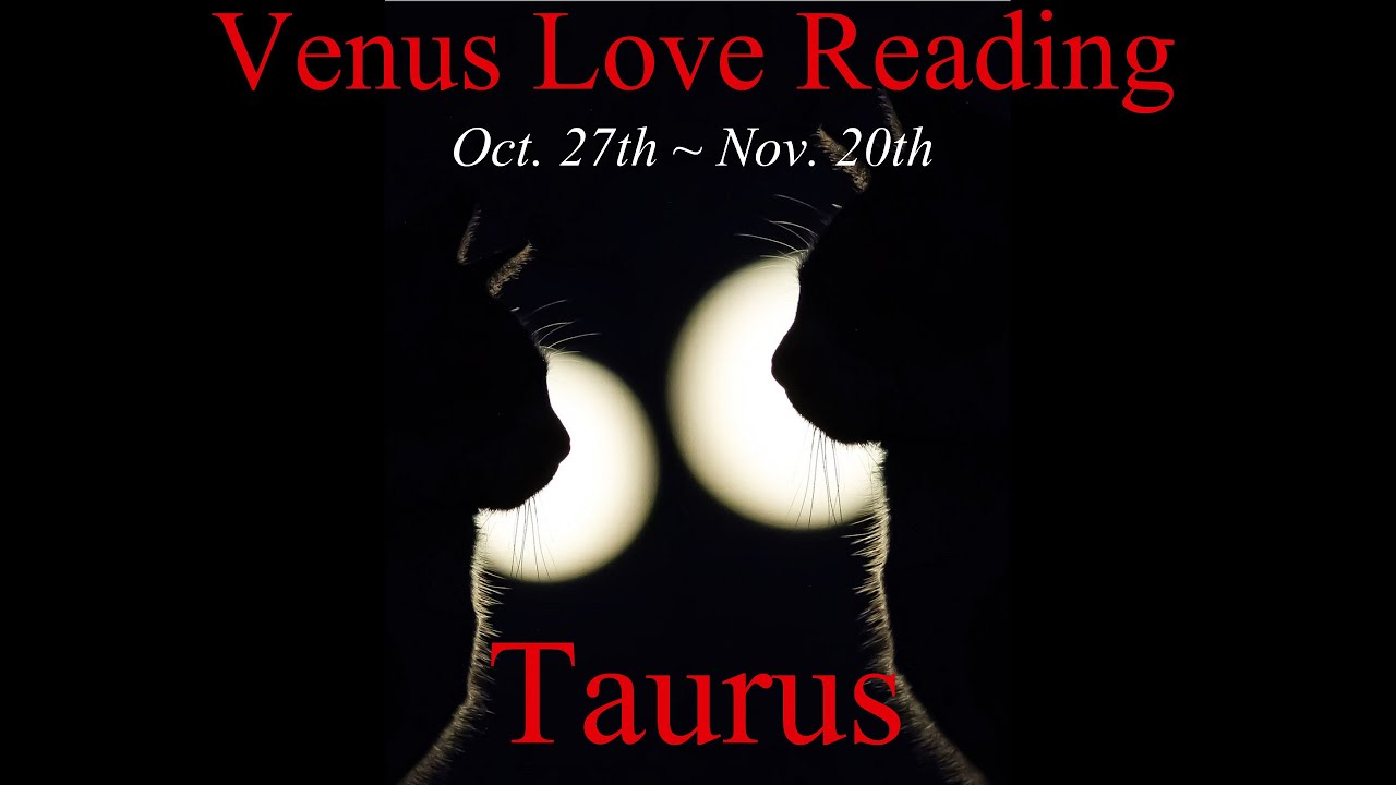♉️Taurus ~ Solid Commitment and Chemistry! 💖 Venus Love Reading