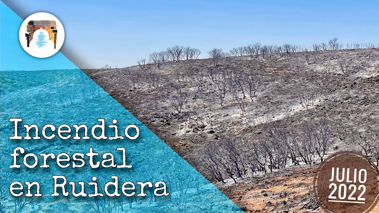 INCENDIO FORESTAL en Ruidera | El día después