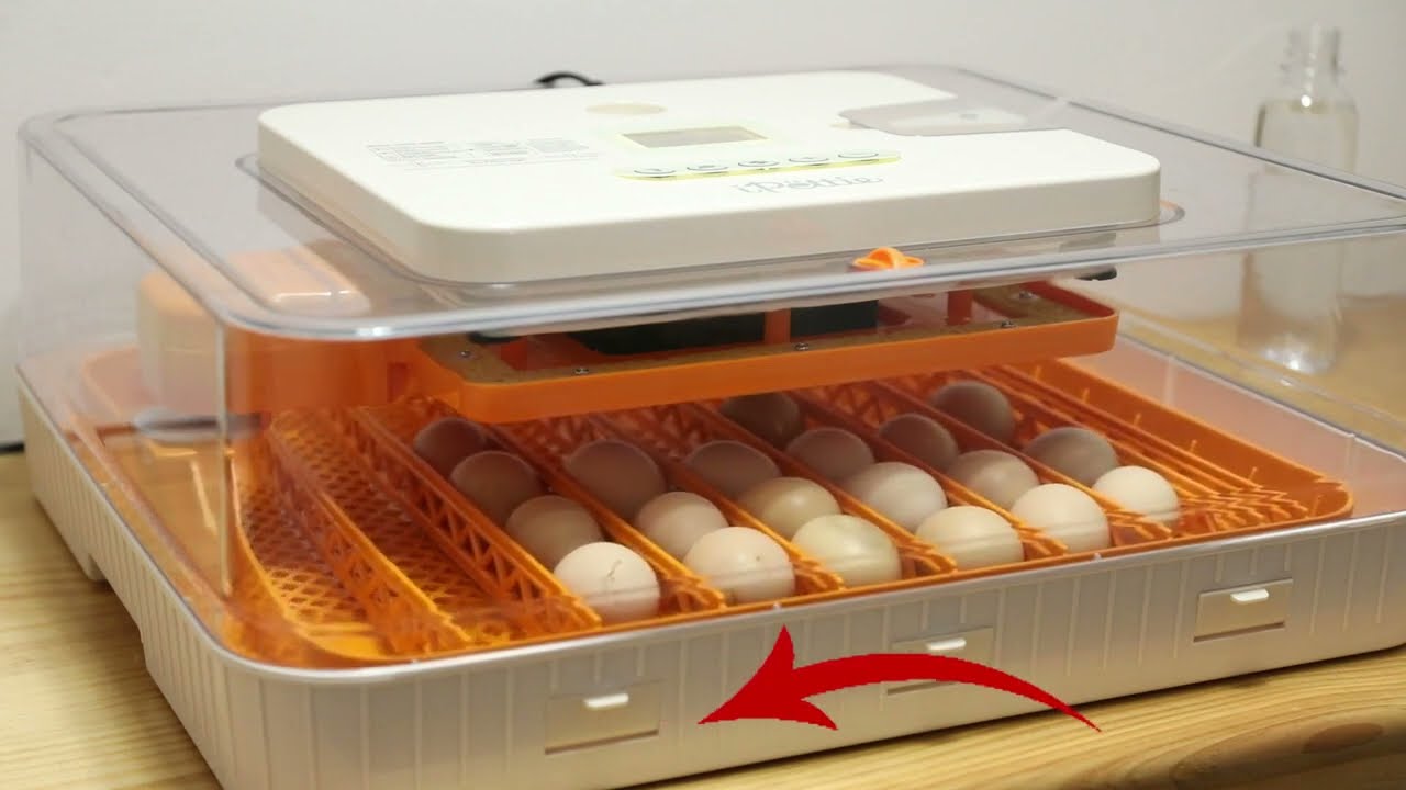 Egg Turning Function Guide for iPettie Nestasy Prohatch56 Egg Incubator