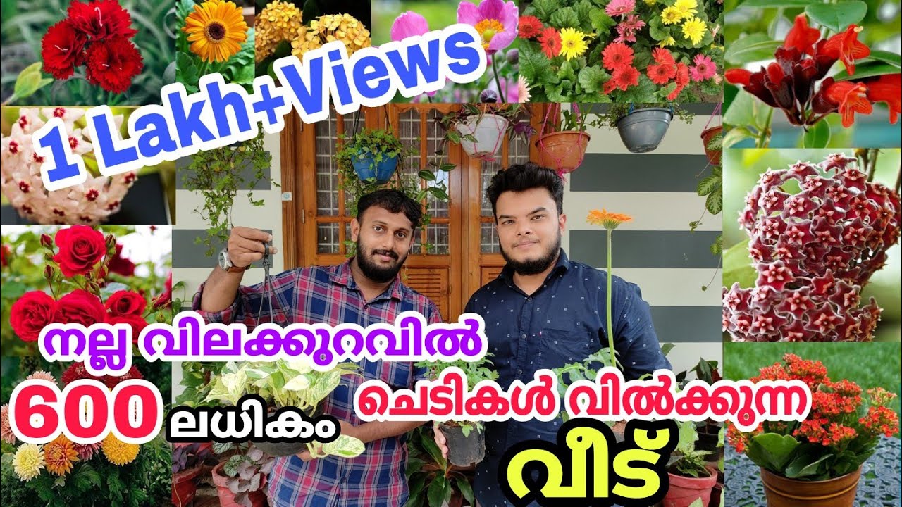 Flower Plant Home Garden Visit Kerala | Plant Price and Full Details | Plants & Pots Garden Edakkara