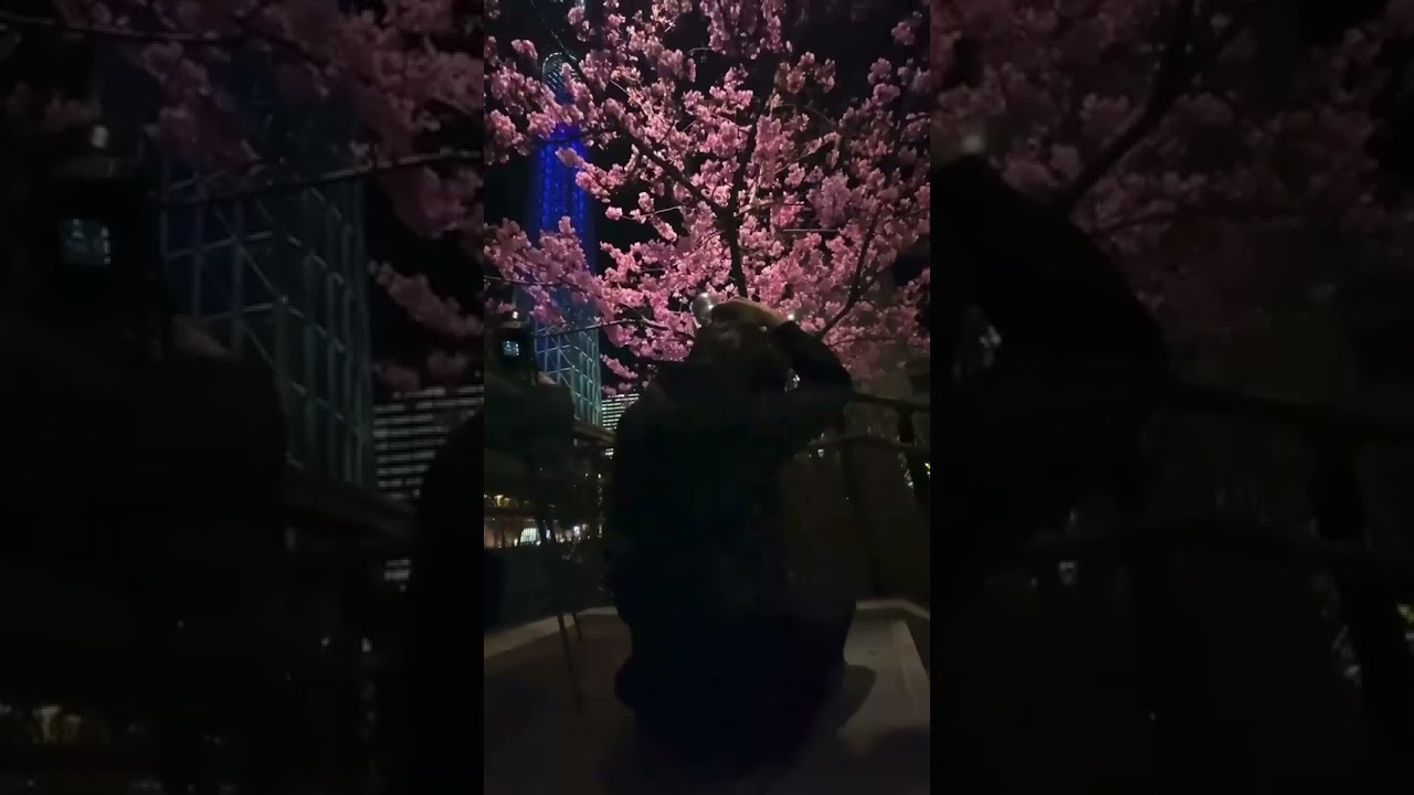 Kawazu cherry blossom &times; Tokyo 🌸#travelling #shorts #short  #traveltokyo #travel #traveljapan