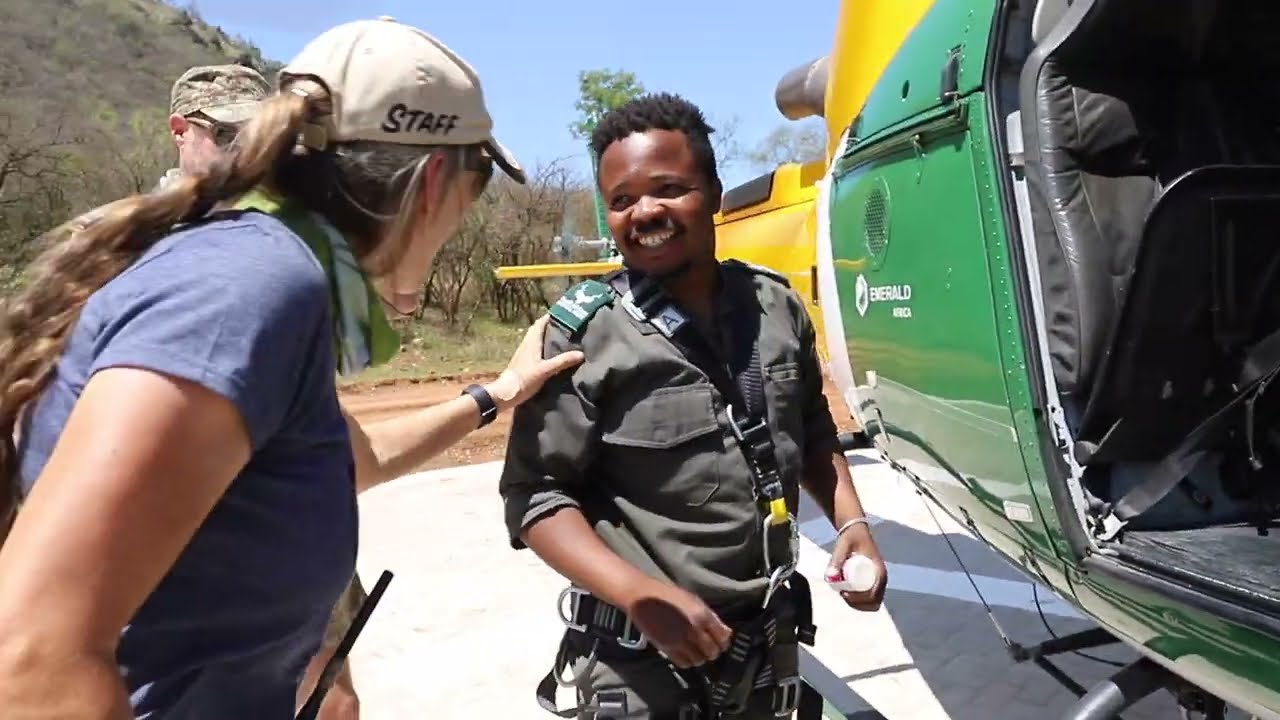 Rescued Calf flown in from the Kruger National Park.