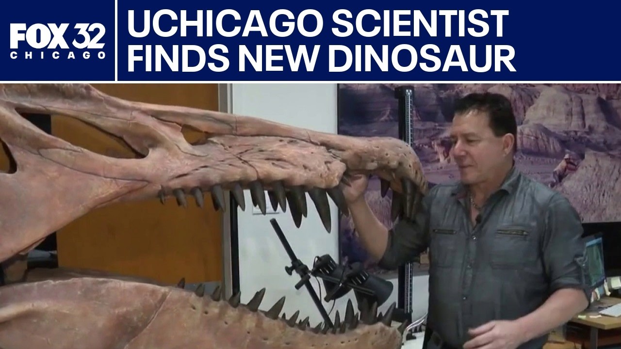 New dinosaur species discovered by Chicago paleontologist