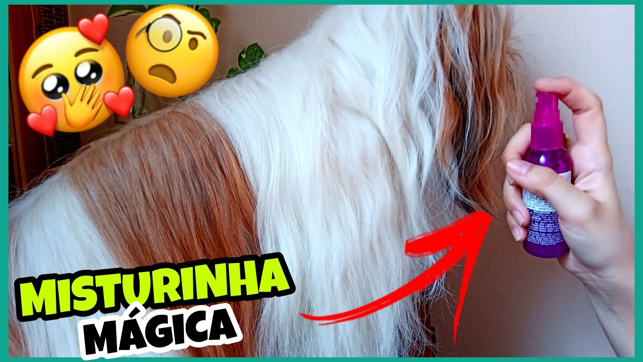 FLUÍDO DESEMBARAÇADOR CASEIRO 🐶MELHOR DICA PARA ESCOVAR SEU SHIH TZU