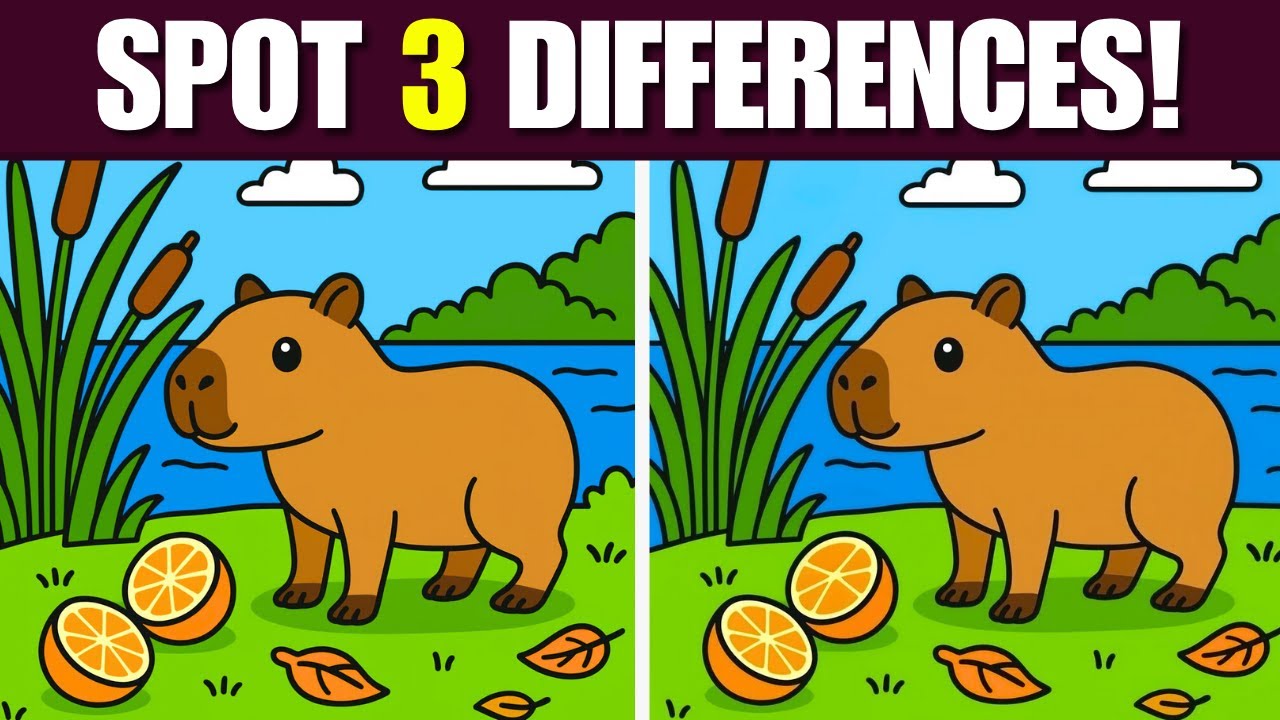 Spot 3 Differences Await, Are You Ready?🧠  [ Spot The Difference #88 ]