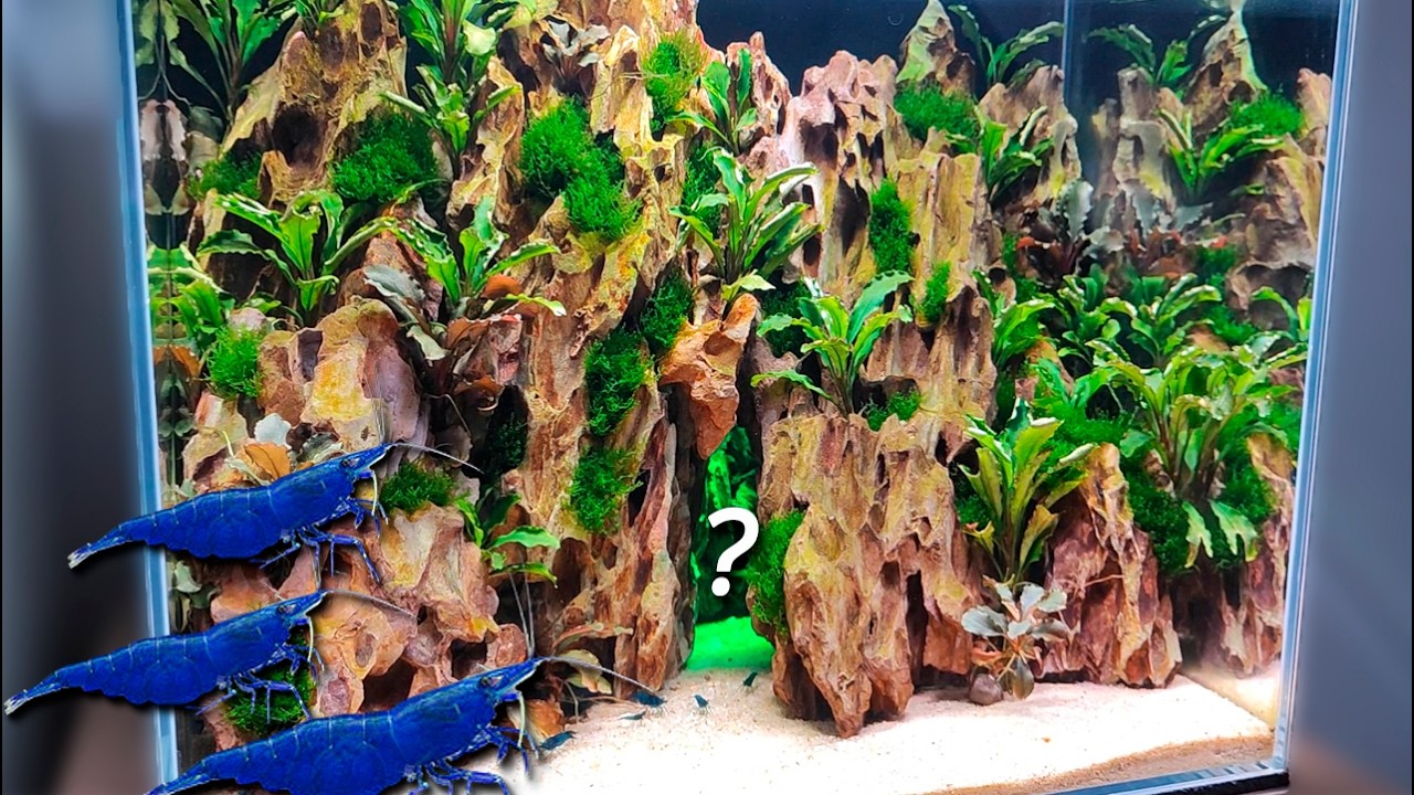 ¡Monté un NUEVO GAMBARIO con una cueva SECRETA y luz oculta! 🌱