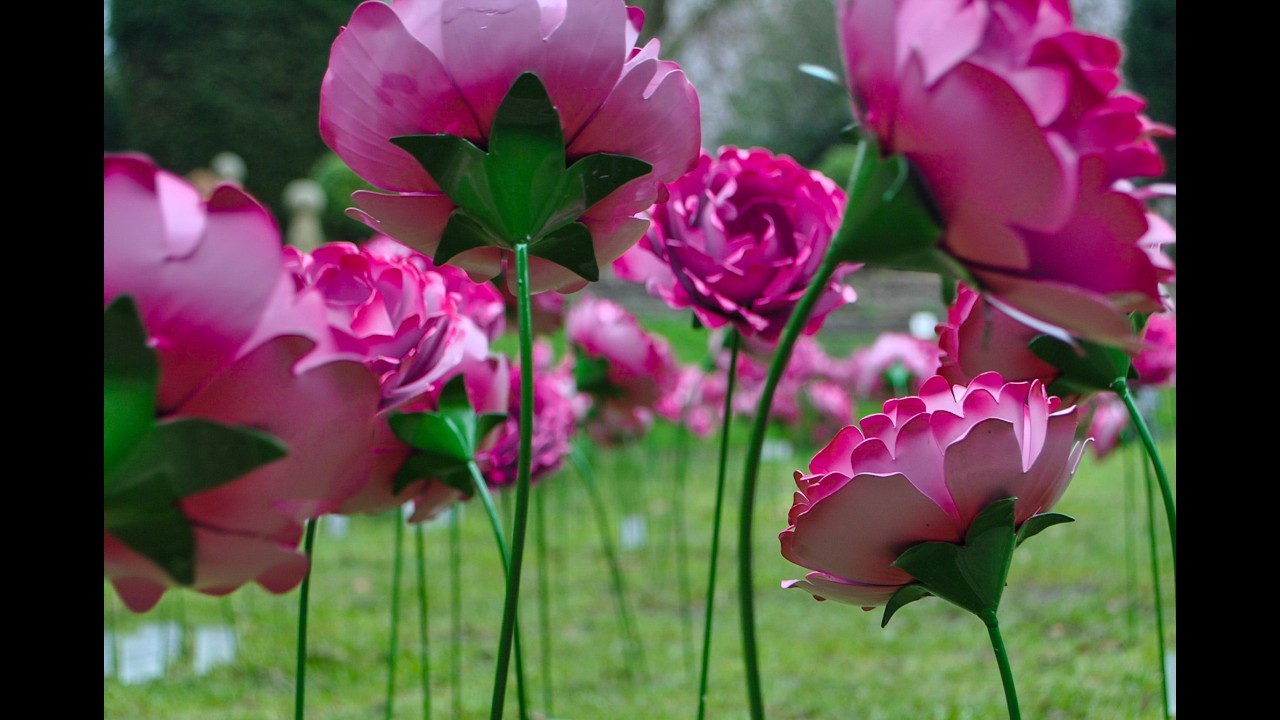 The Kirkwood 'Mother's Day in Bloom'