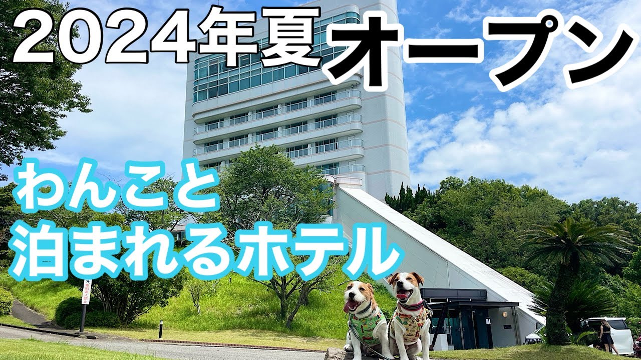 【和歌山】南紀白浜わんわんパラダイス