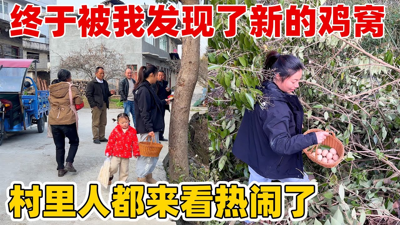 老爸把林子都翻了一圈也没找到鸡蛋，慧琳一下子就找到一窝，还捡到了珍贵药材灵芝，赚大了！