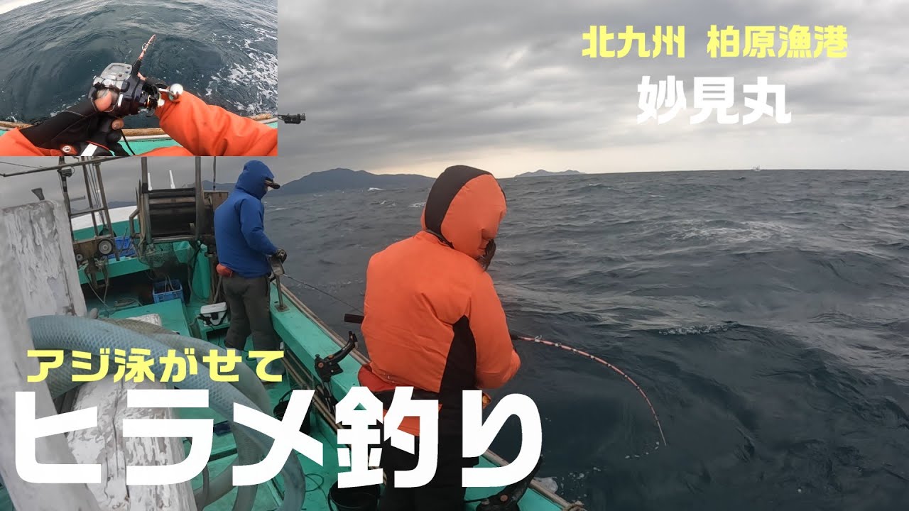 【泳がせ釣り】アジを泳がせてヒラメを狙う