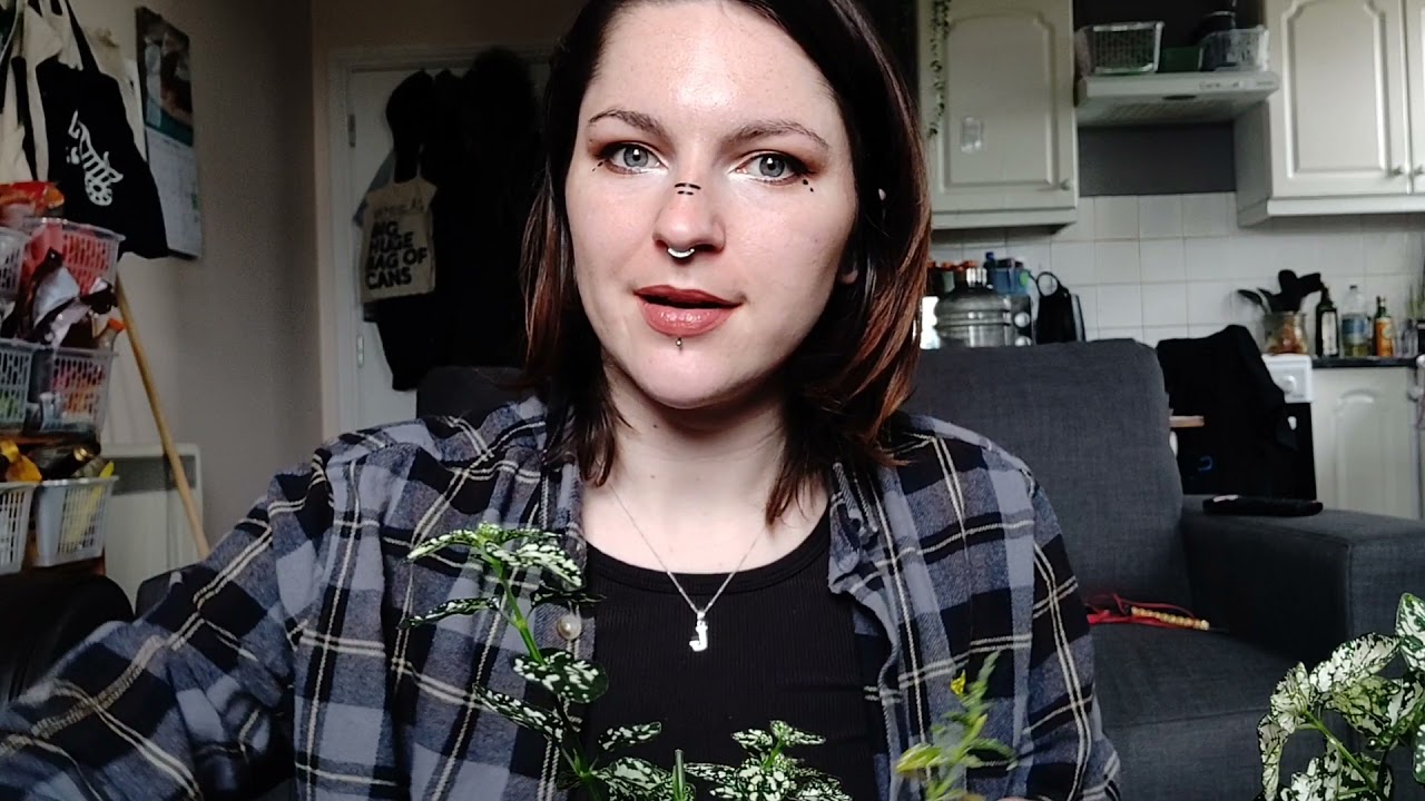 Propagate a polkadot plant and more with me 🌿