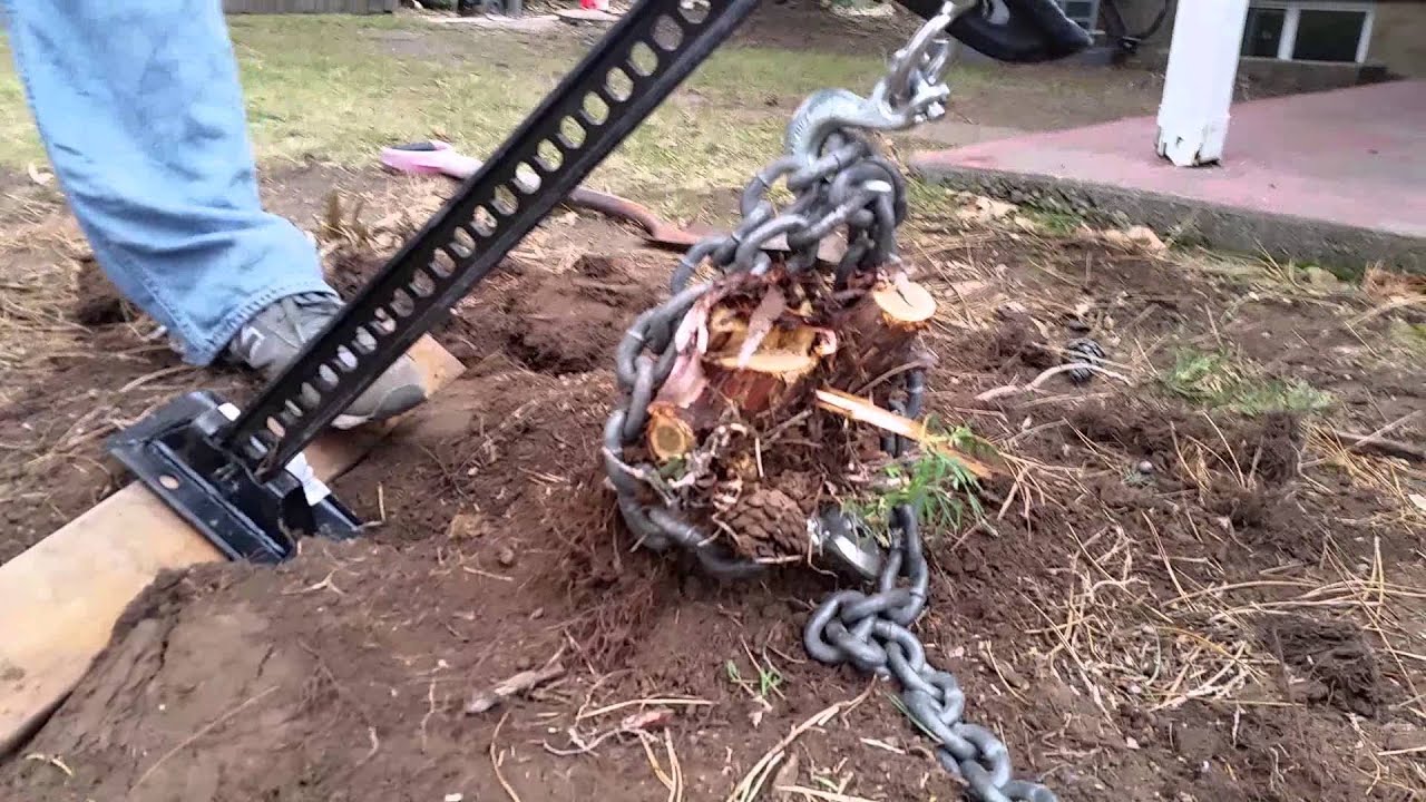 Shrub Stump Removal with a Hi Lift Jack