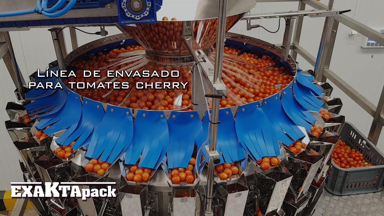 Línea de envasado para Tomates cherry
