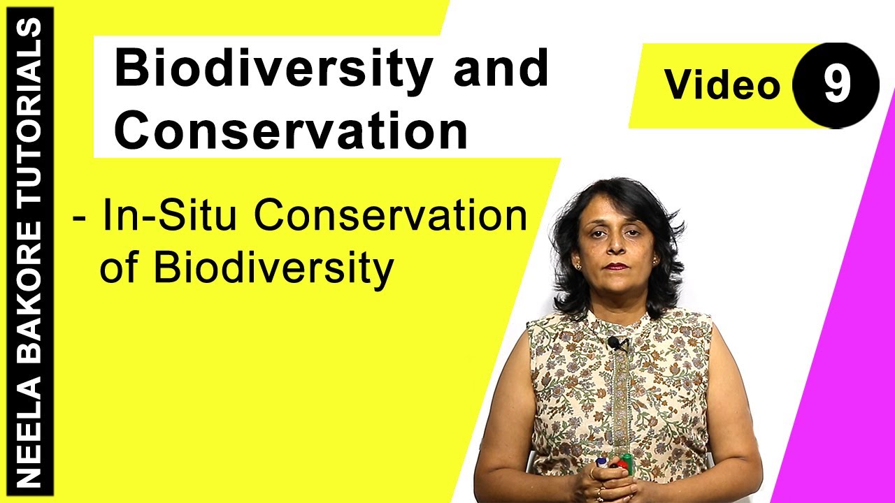 Biology For NEET & AIIMS | Biodiversity and Conservation - In-Situ Conservation of Biodiversity