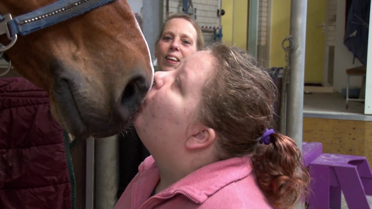 Paarden brengen geluk