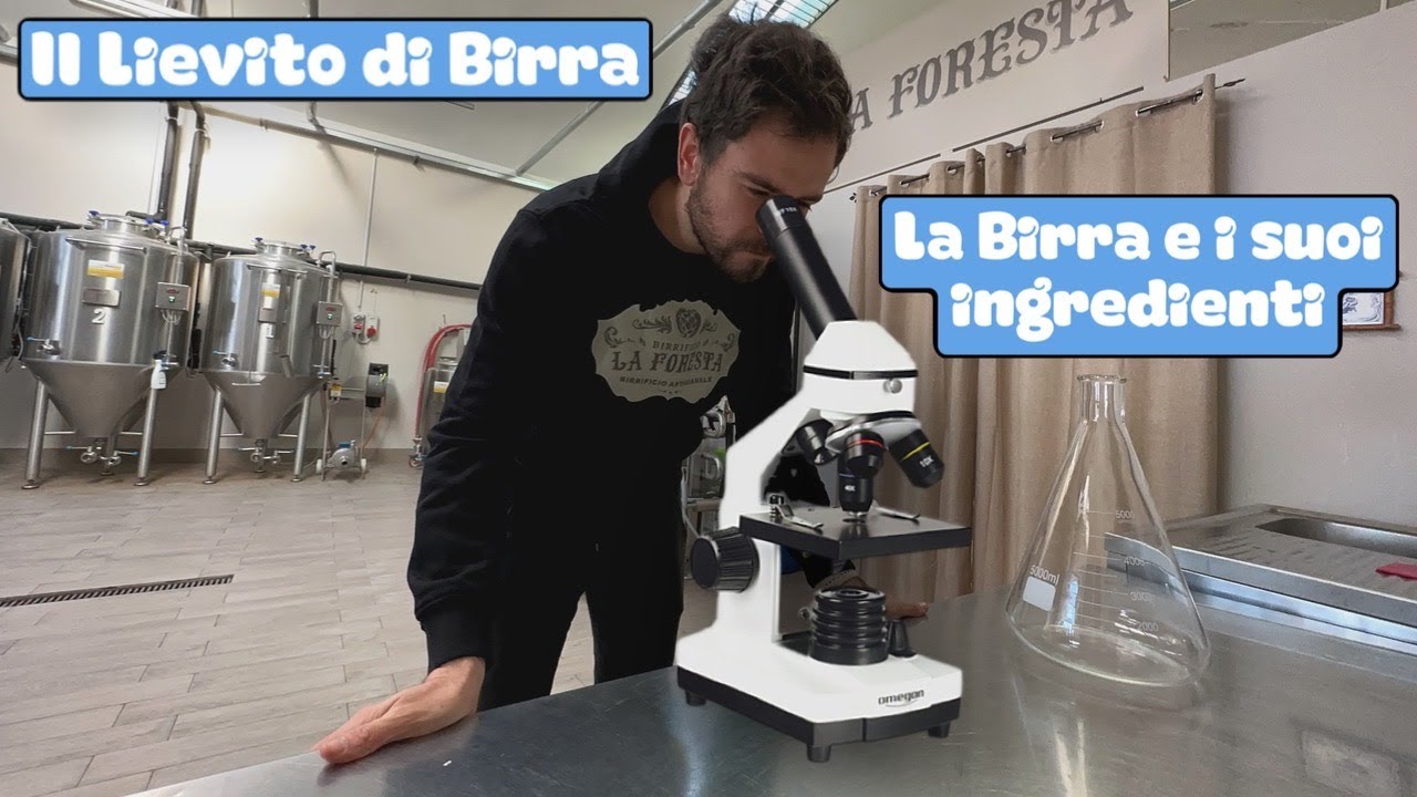 Il LIEVITO di BIRRA! - La BIRRA e i suoi INGREDIENTI