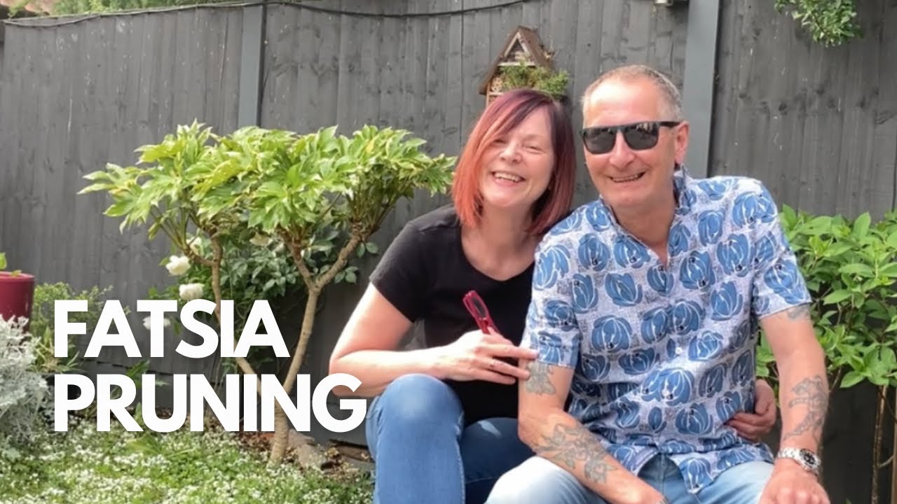 Caution ⛔️ Viewers May Find This Fatsia Pruning Hard To Watch 😆