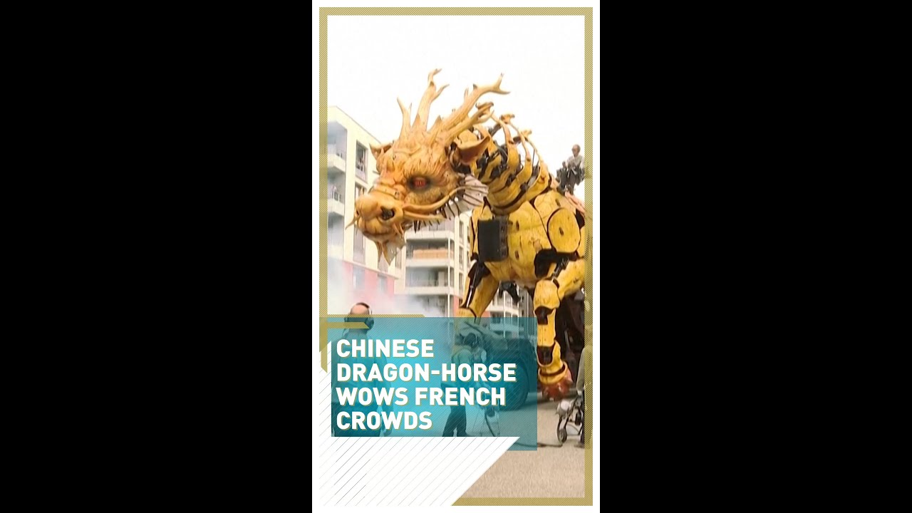 Chinese dragon-horse wows French crowds