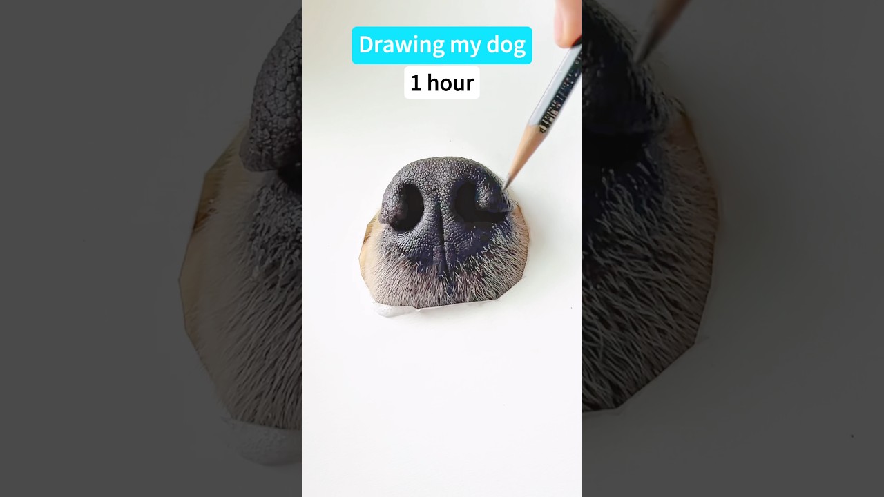 How to draw a dog *MEGA REALISTIC* #dog #sketch #drawing #art #funnypets