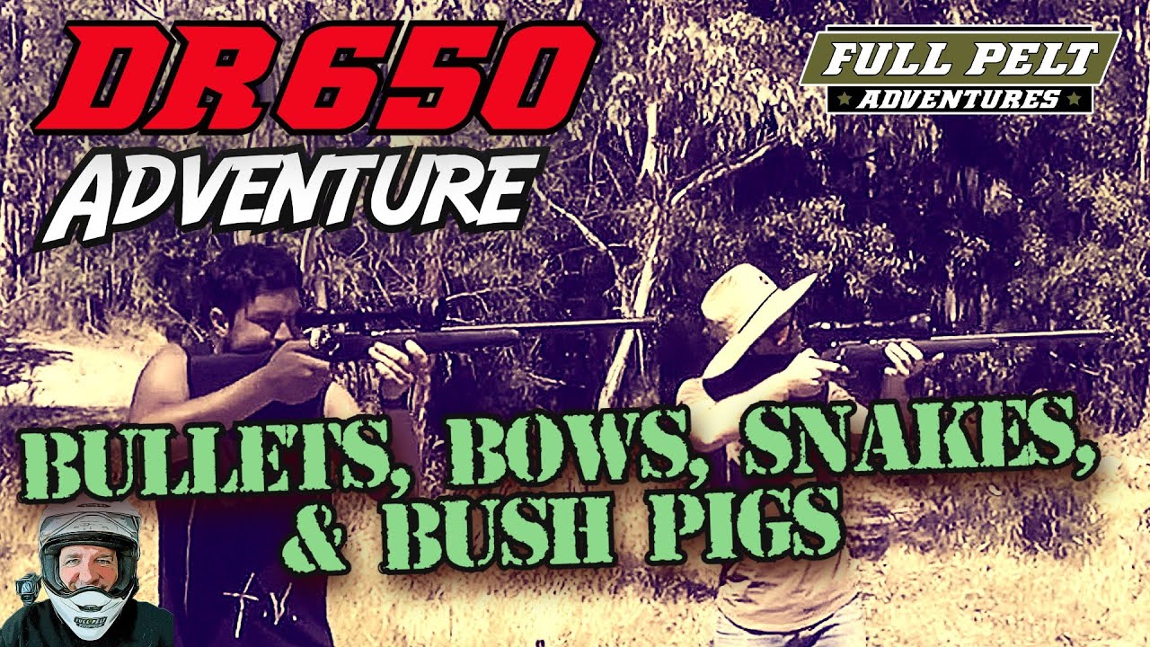 DR650 ADVENTURE - BULLETS, BOWS, SNAKES, & BUSH PIGS.
