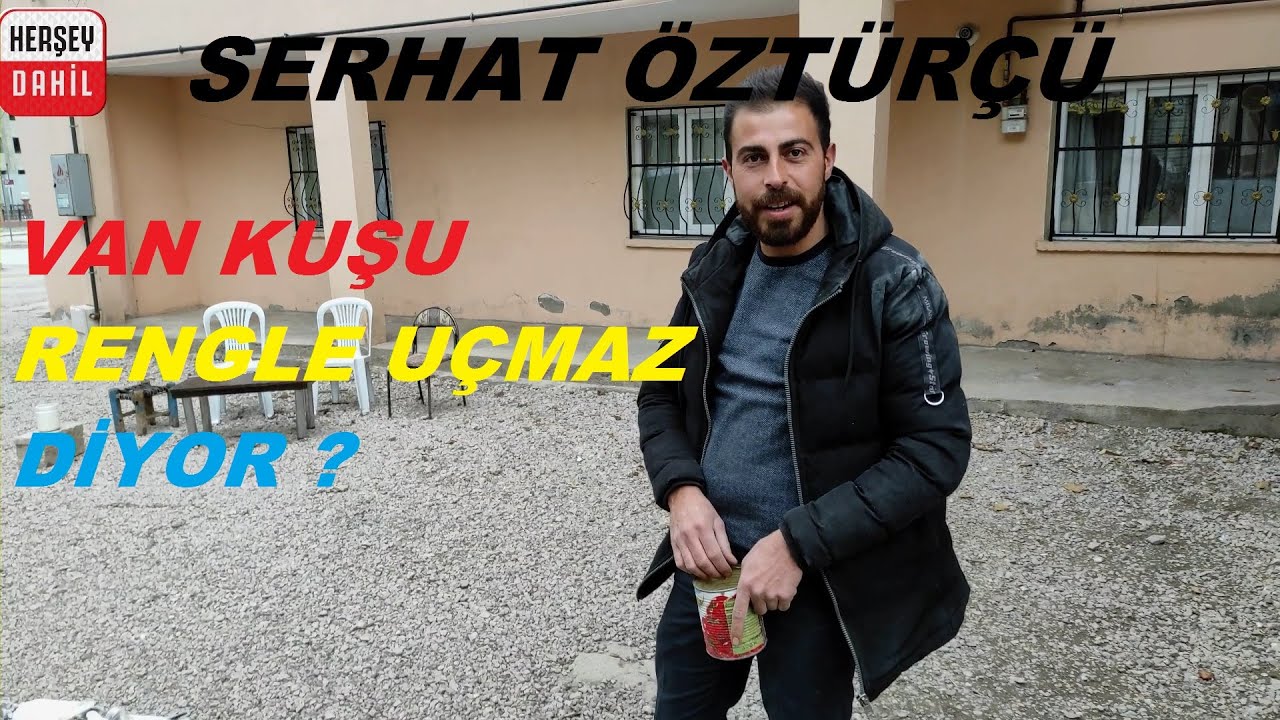 sehat öztürkçü kardeşimin güvercinlerini çektim ALLAH kümesini bereket versin inşallah