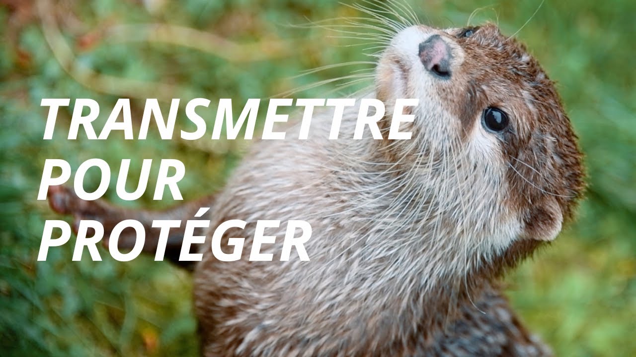 Un an au zoo, épisode 4 - Pédagogue dans un parc animalier, en quoi cela consiste ?