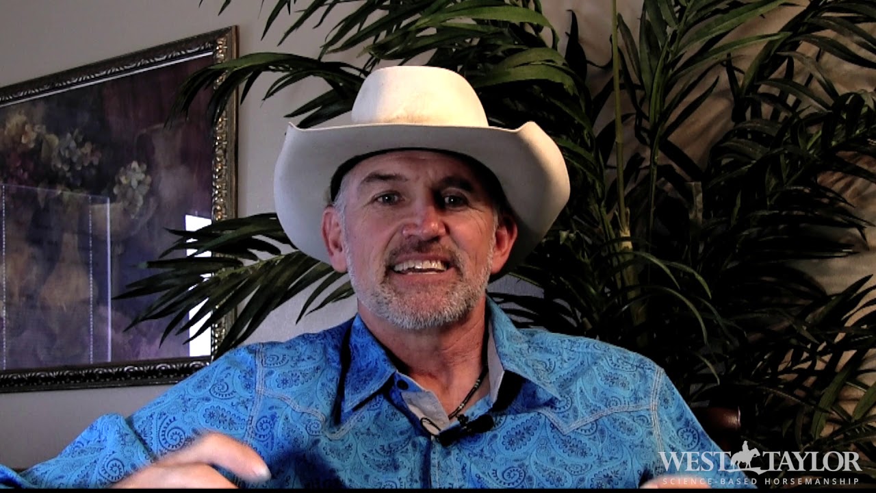 Science Based Horsemanship: An Introduction To The Neurochemistry Of Natural Horse Training
