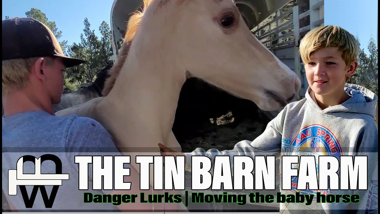 Predators lurk | Gotta move the baby