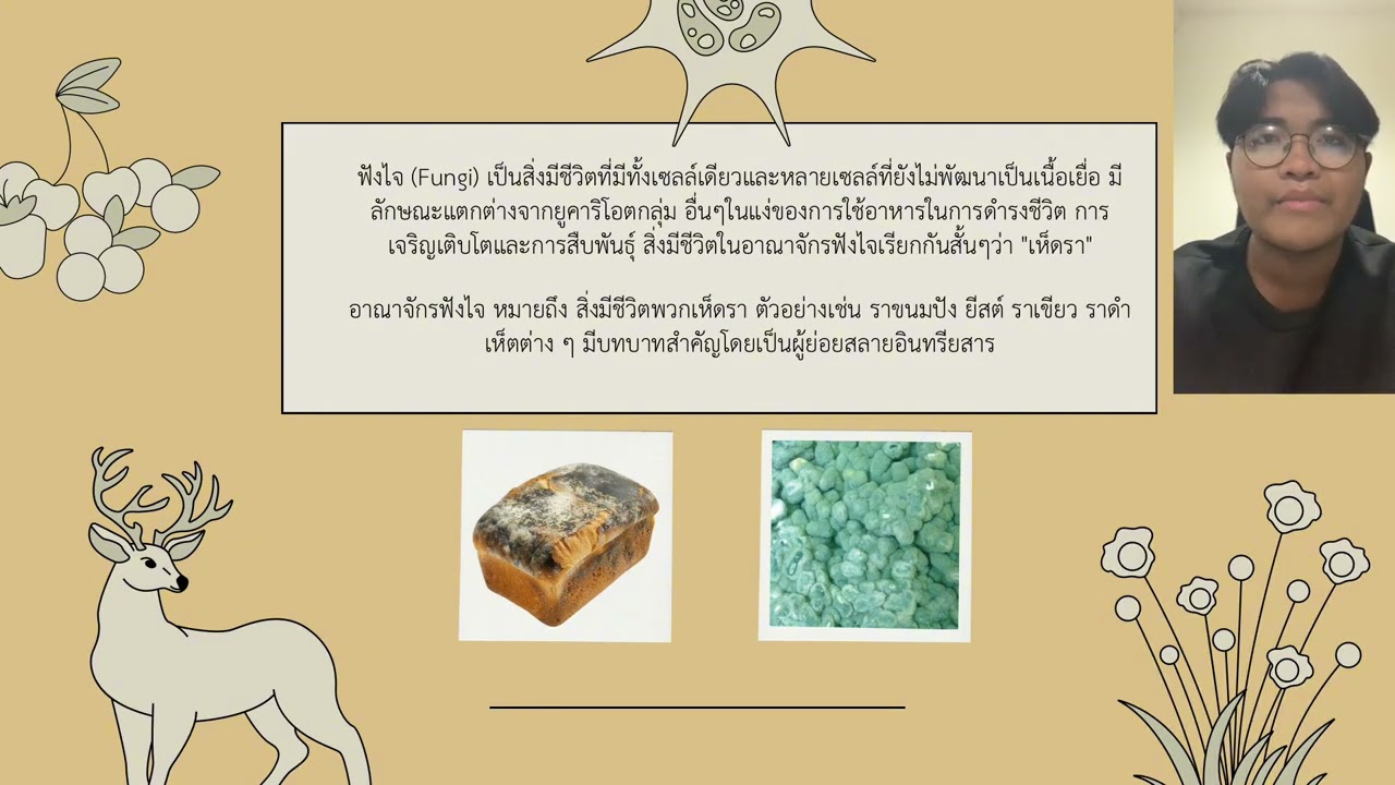 “อาณาจักรฟังไจ”
