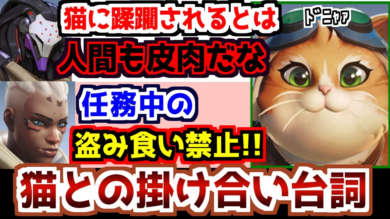 ジェットパックキャットの掛け合いとストーリー補足【オーバーウォッチ】