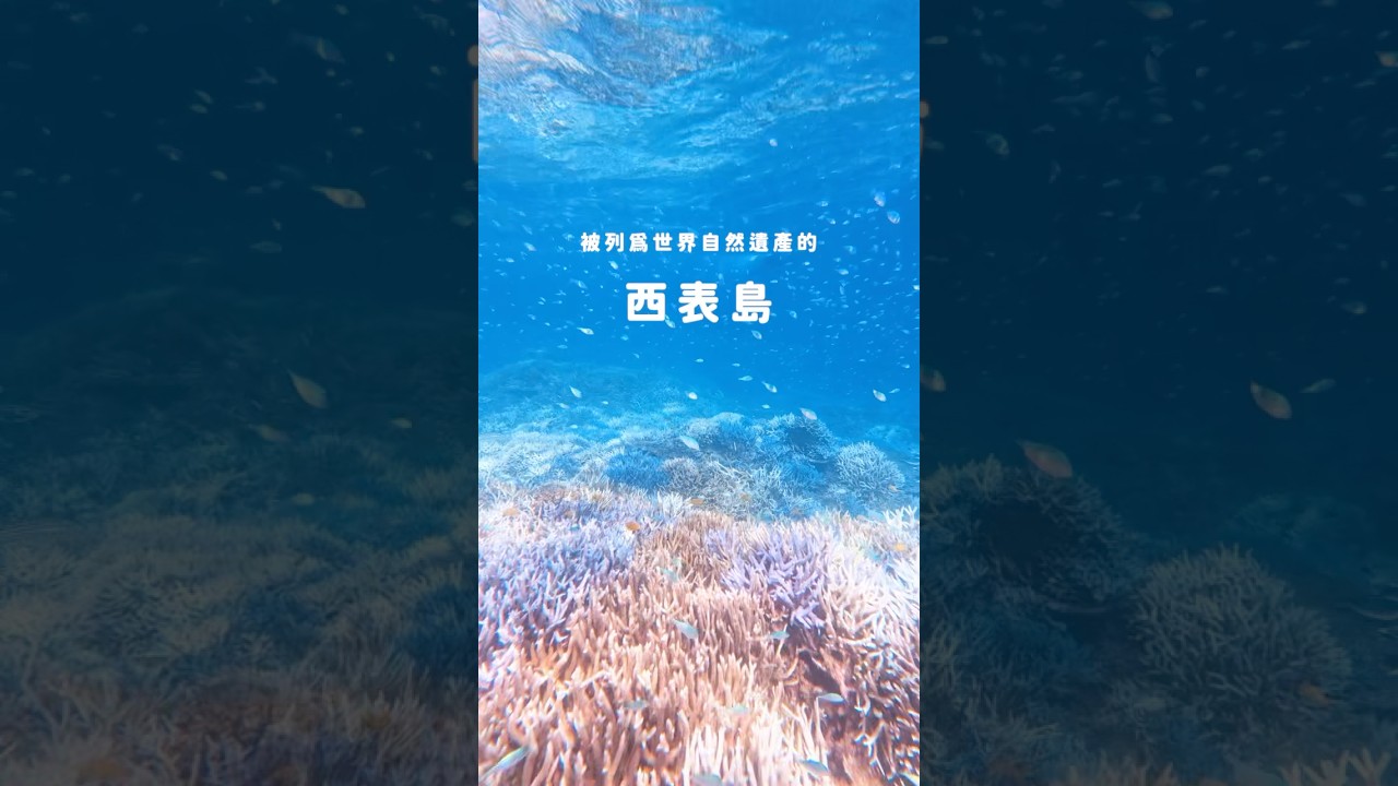 𖧧世界自然遺產｜西表島🏝️從石垣島出發只要一小時🔥即可抵達有著「日本最後秘境」之稱的西表島！戶外人一定會愛上😍 #石垣島 #西表島 #沖繩旅遊